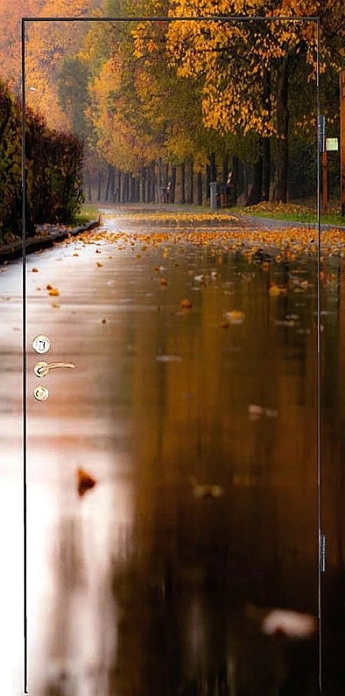 Входная дверь Zerda-2 (Фотопечать / МДФ ПВХ) - внешняя сторона